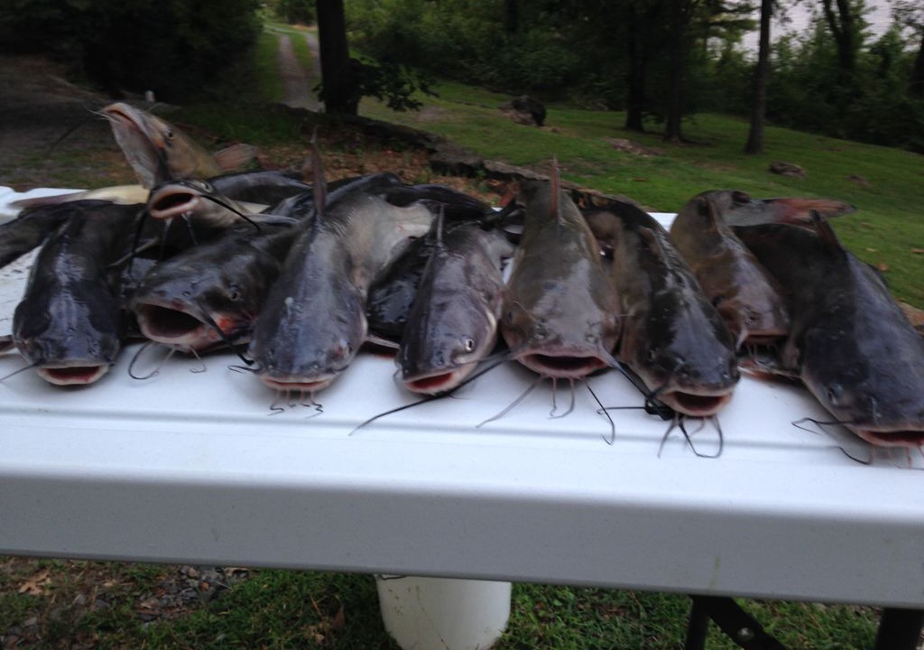 Photo of Others in Wagoner