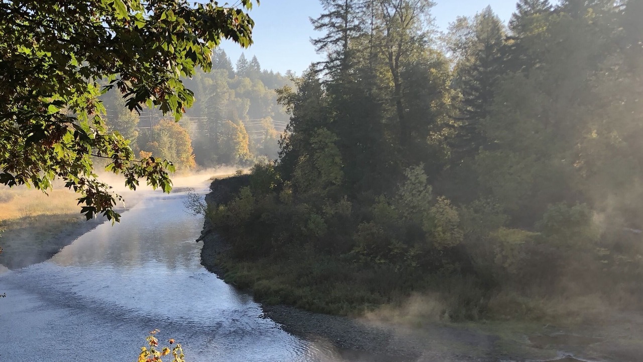 Photo of Others in Woodland