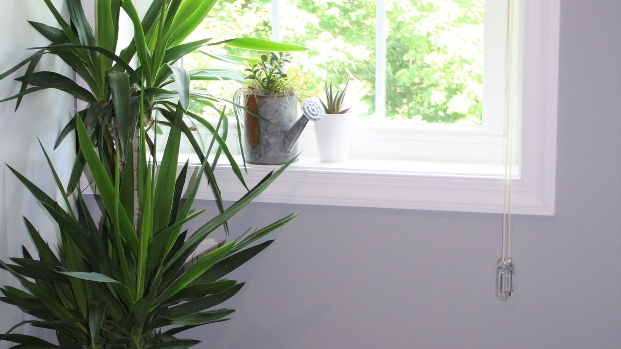 Photo of Bedroom in Narvon