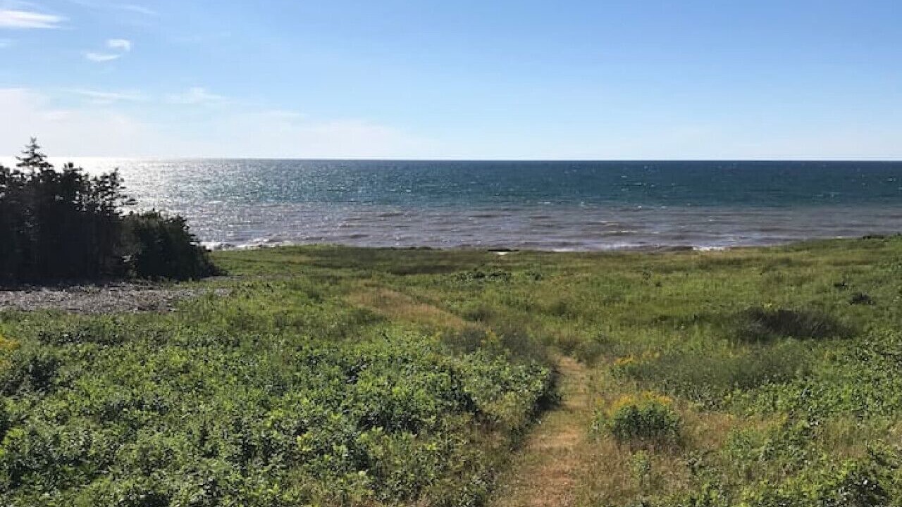 Photo of Others in Grand-Etang