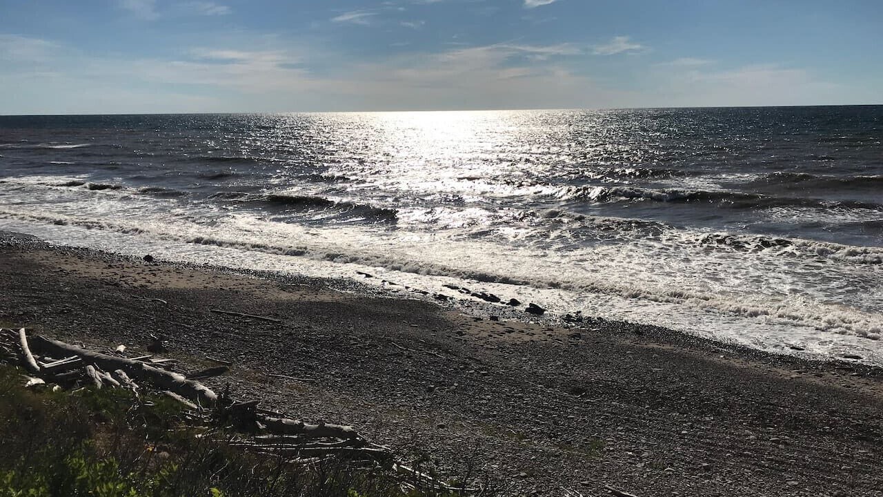 Photo of Others in Grand-Etang