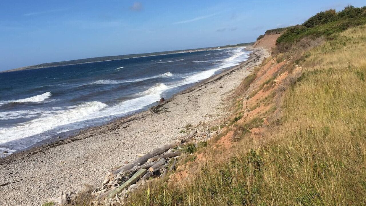 Photo of Others in Grand-Etang