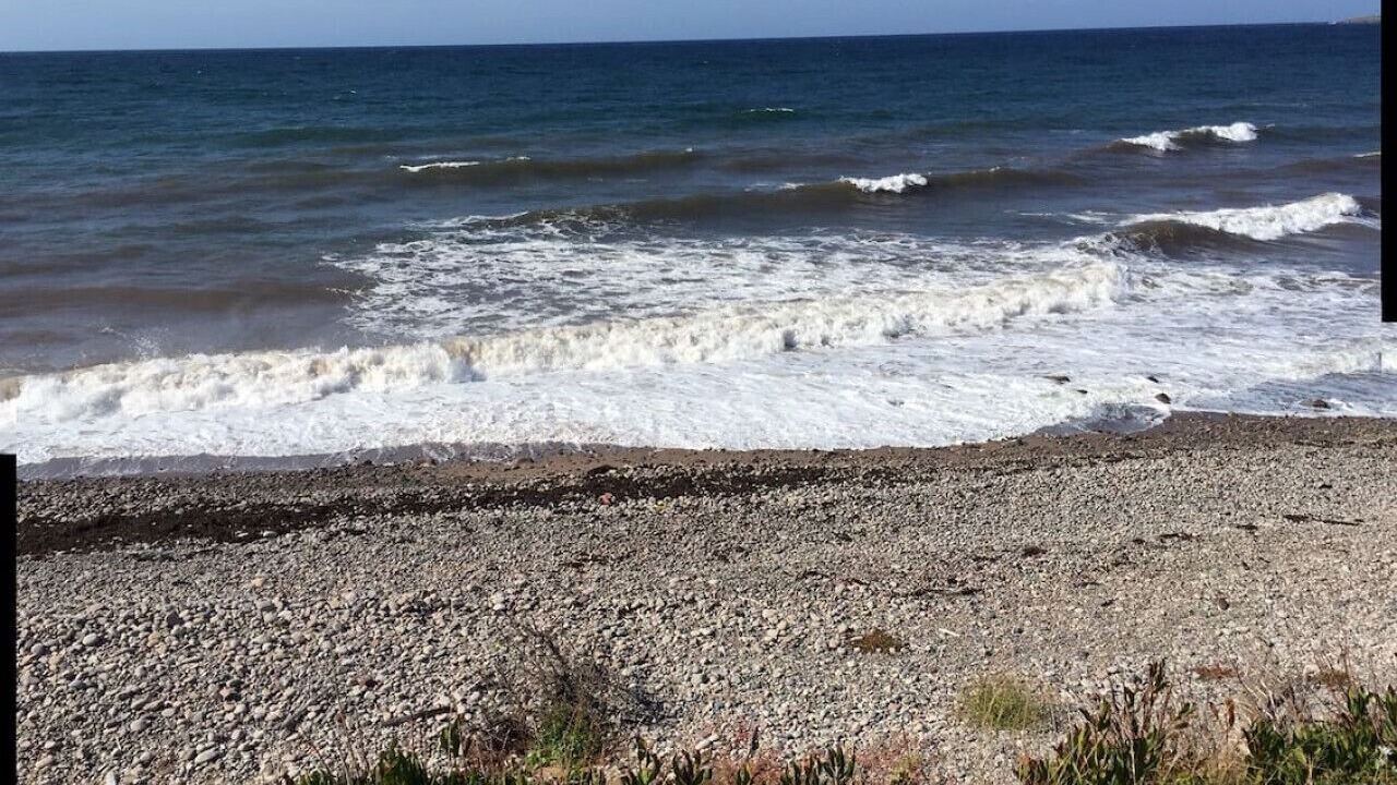 Photo of Others in Grand-Etang