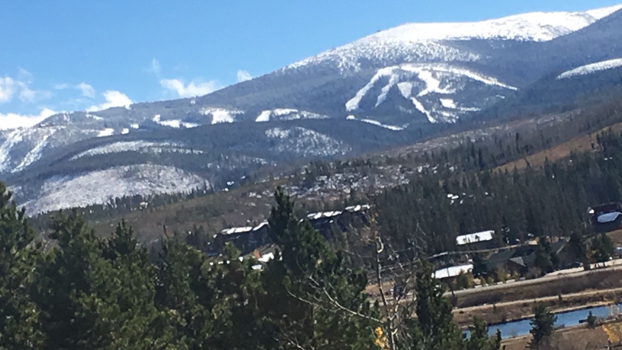 Photo of Others in Fraser