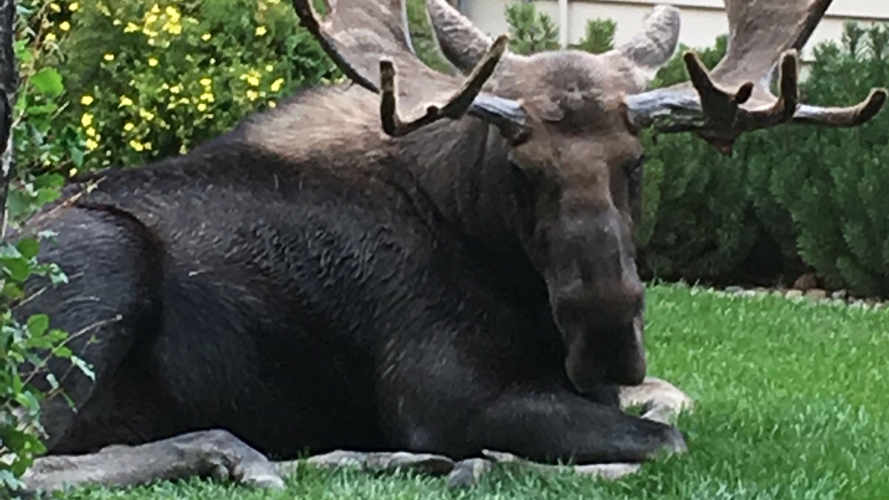 Photo of Others in Park Meadows