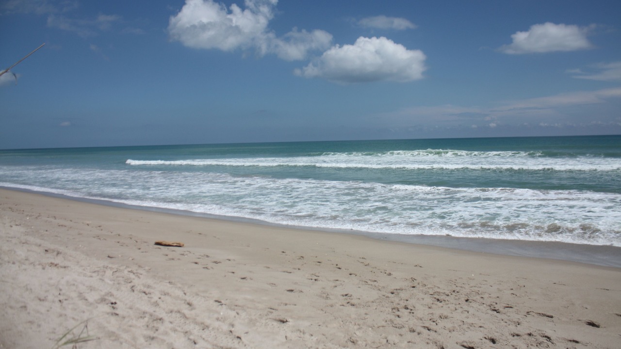 Photo of Others in Deerfield Beach