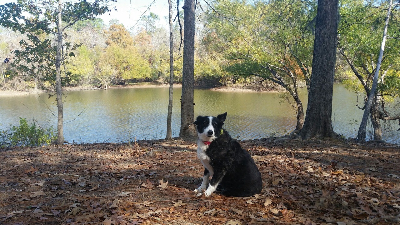 Photo of Outdoor in Broaddus