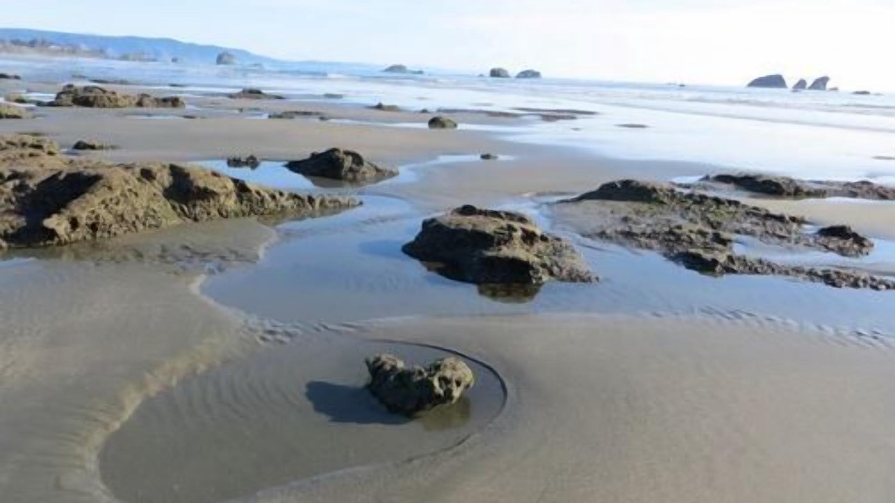 Photo of Others in Crescent City North