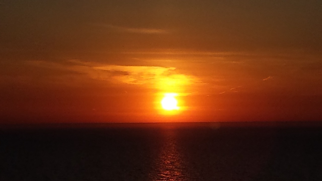 Photo of Others in South Haven