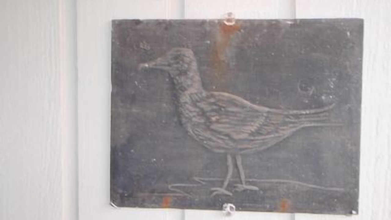 Photo of Others in Yachats