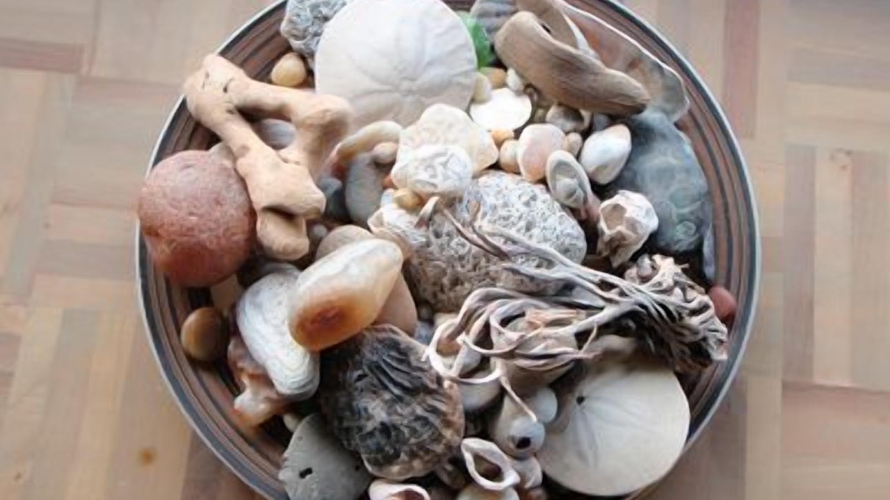 Photo of Others in Yachats