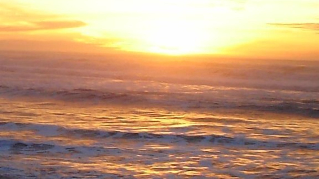 Photo of Others in Yachats