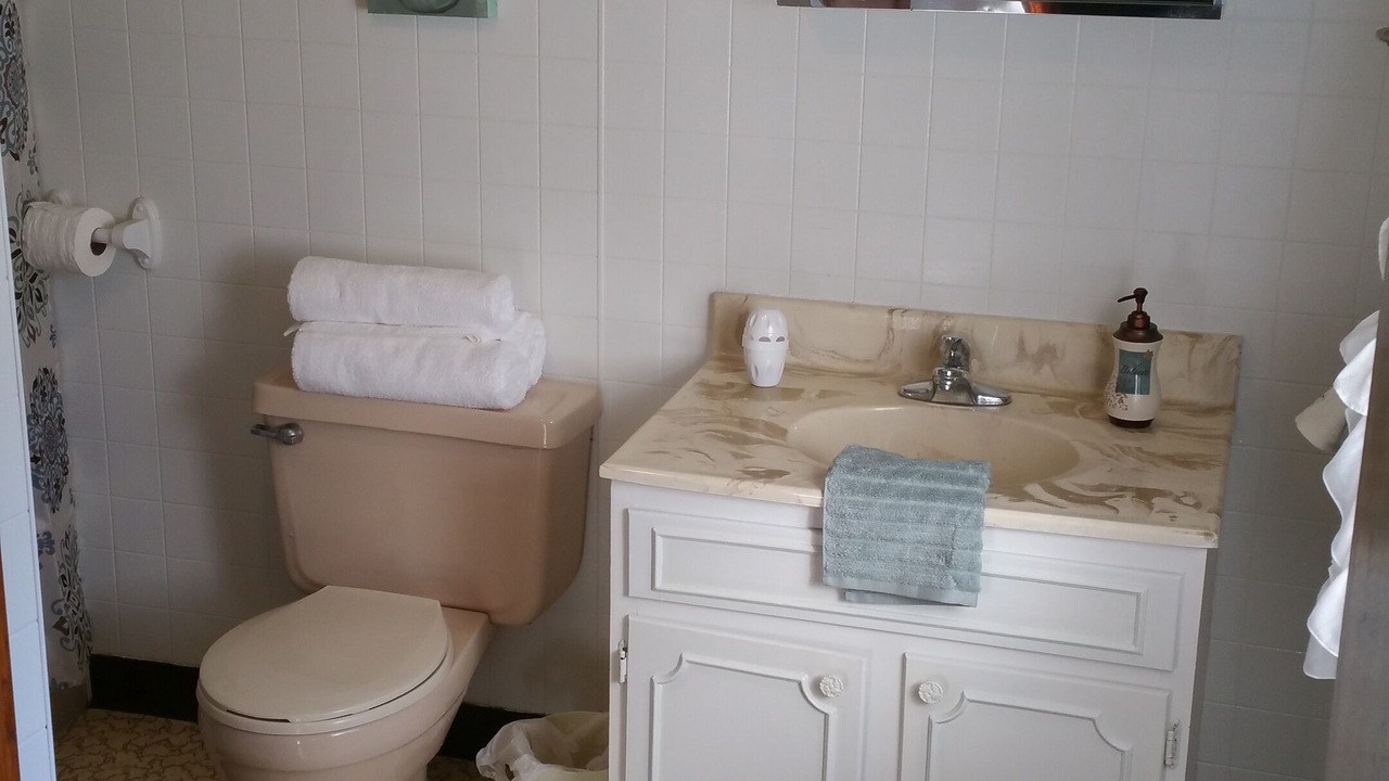 Photo of Bathroom in Mouth of Wilson