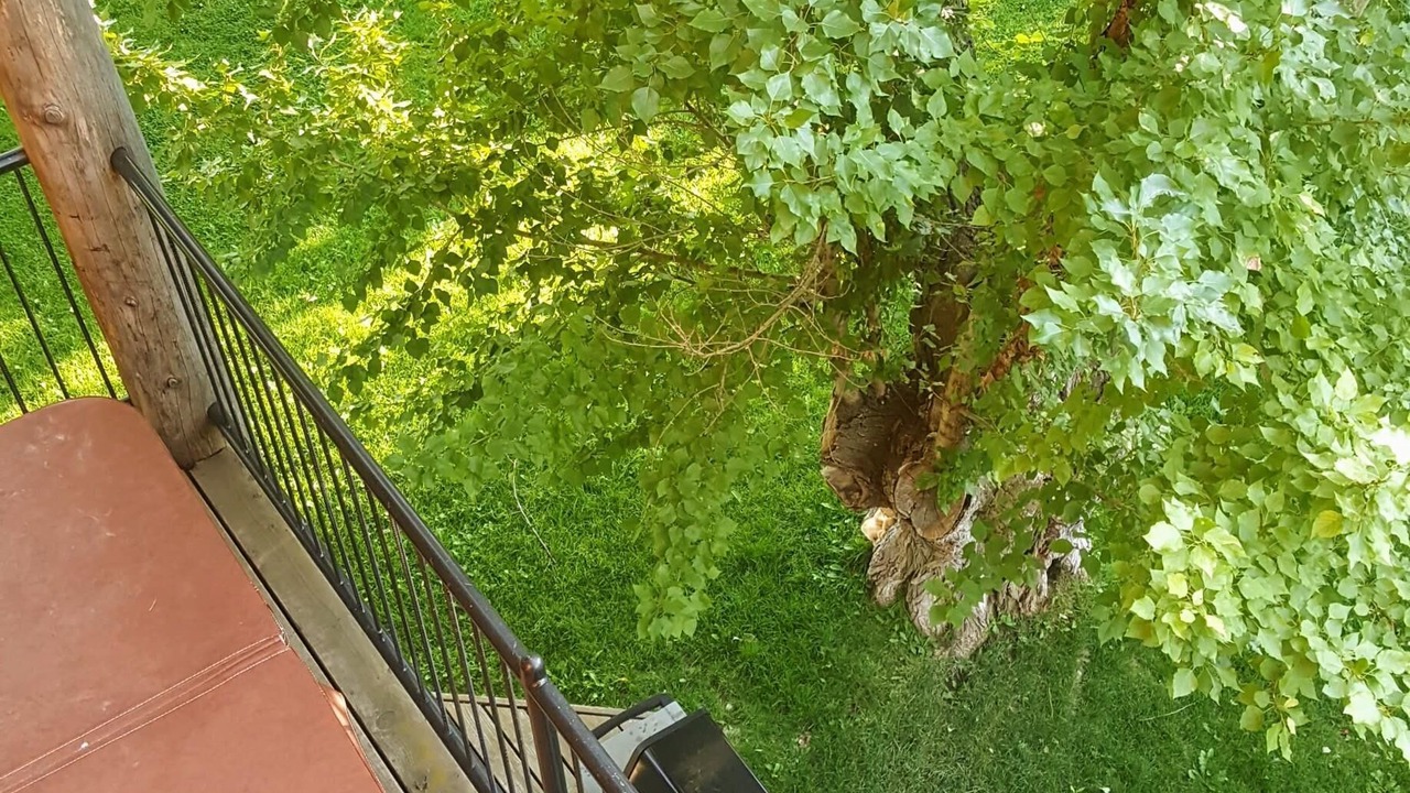 Photo of Patio Balcony in Four Corners