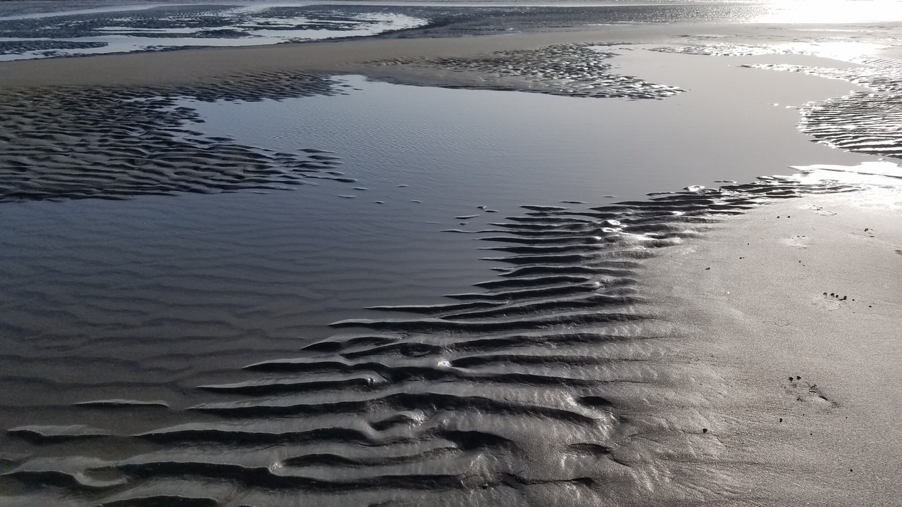 Photo of Others in Pacific Beach