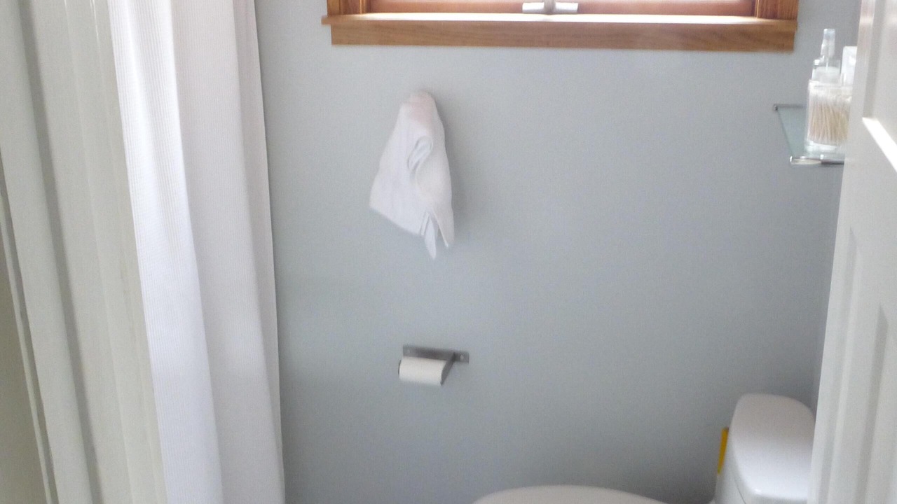 Photo of Others in Dorset