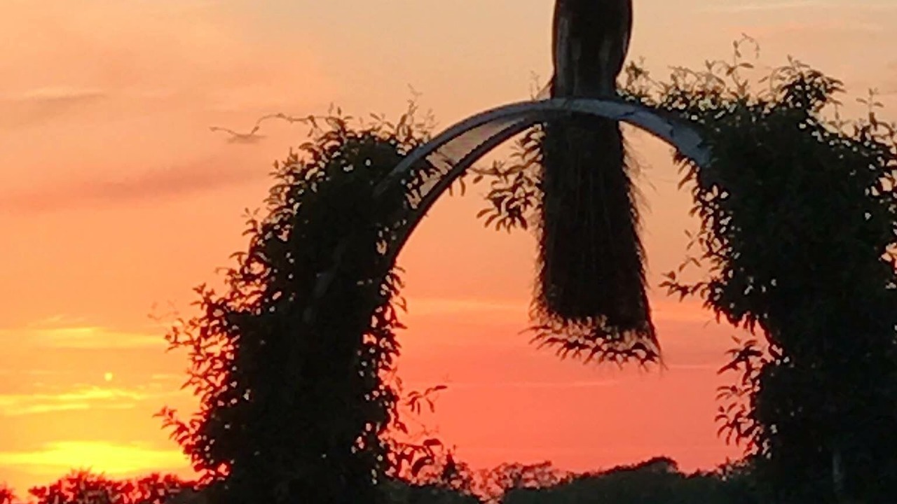Photo of Outdoor in Flatonia