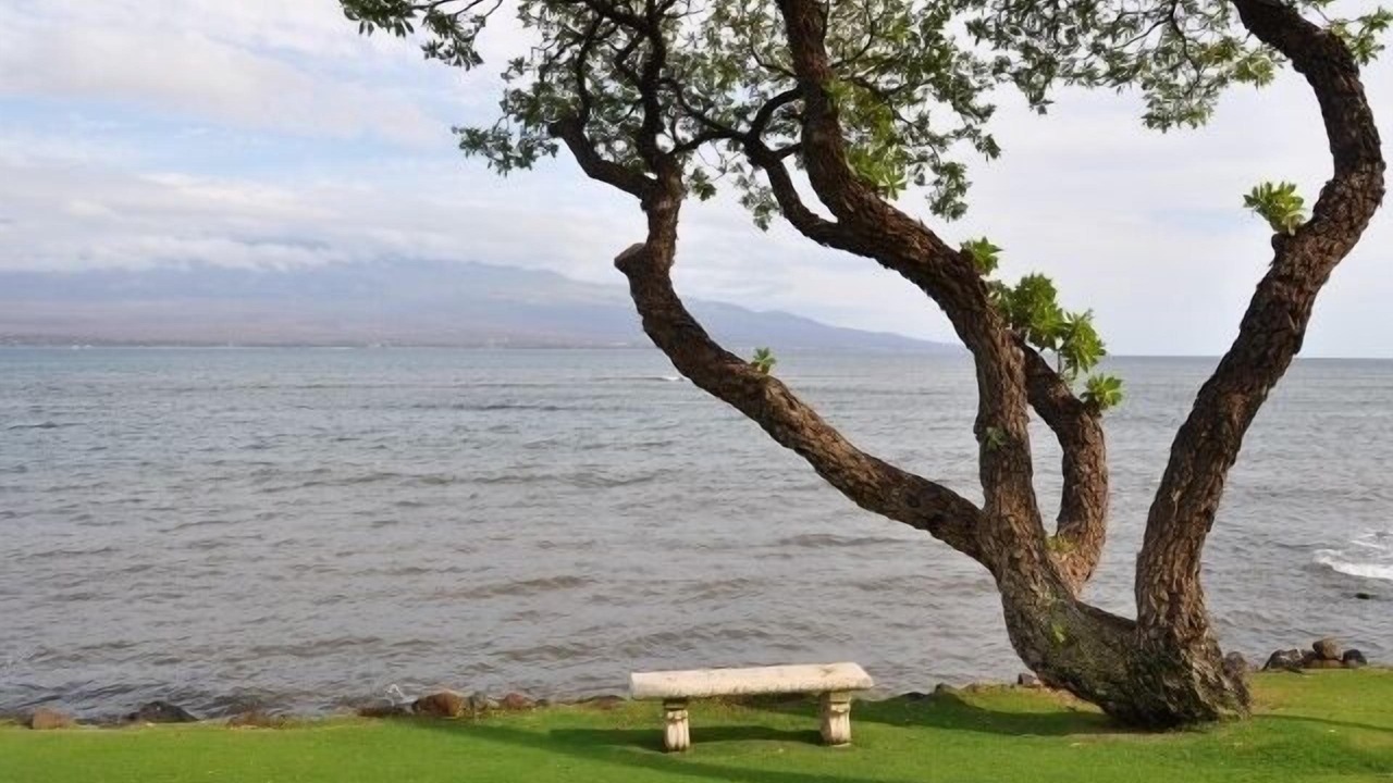 Photo of Others in Maalaea