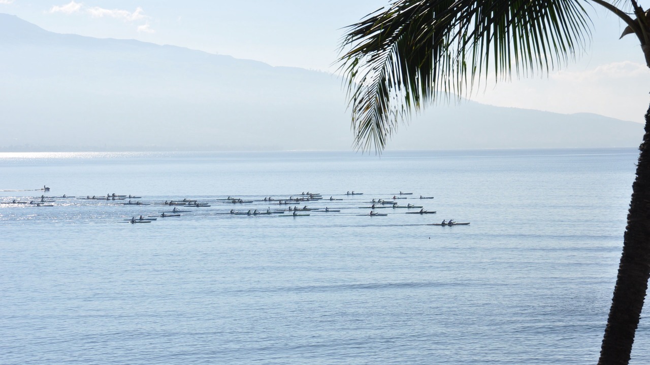Photo of Others in Maalaea