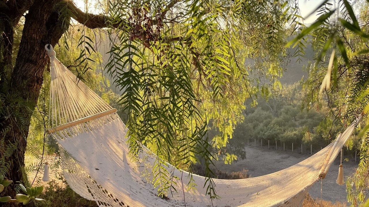 Photo of Outdoor in Santa Ynez
