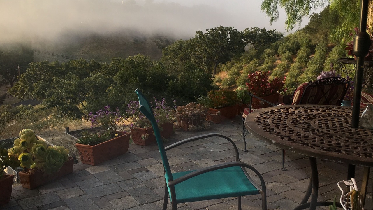 Photo of Outdoor in Santa Ynez