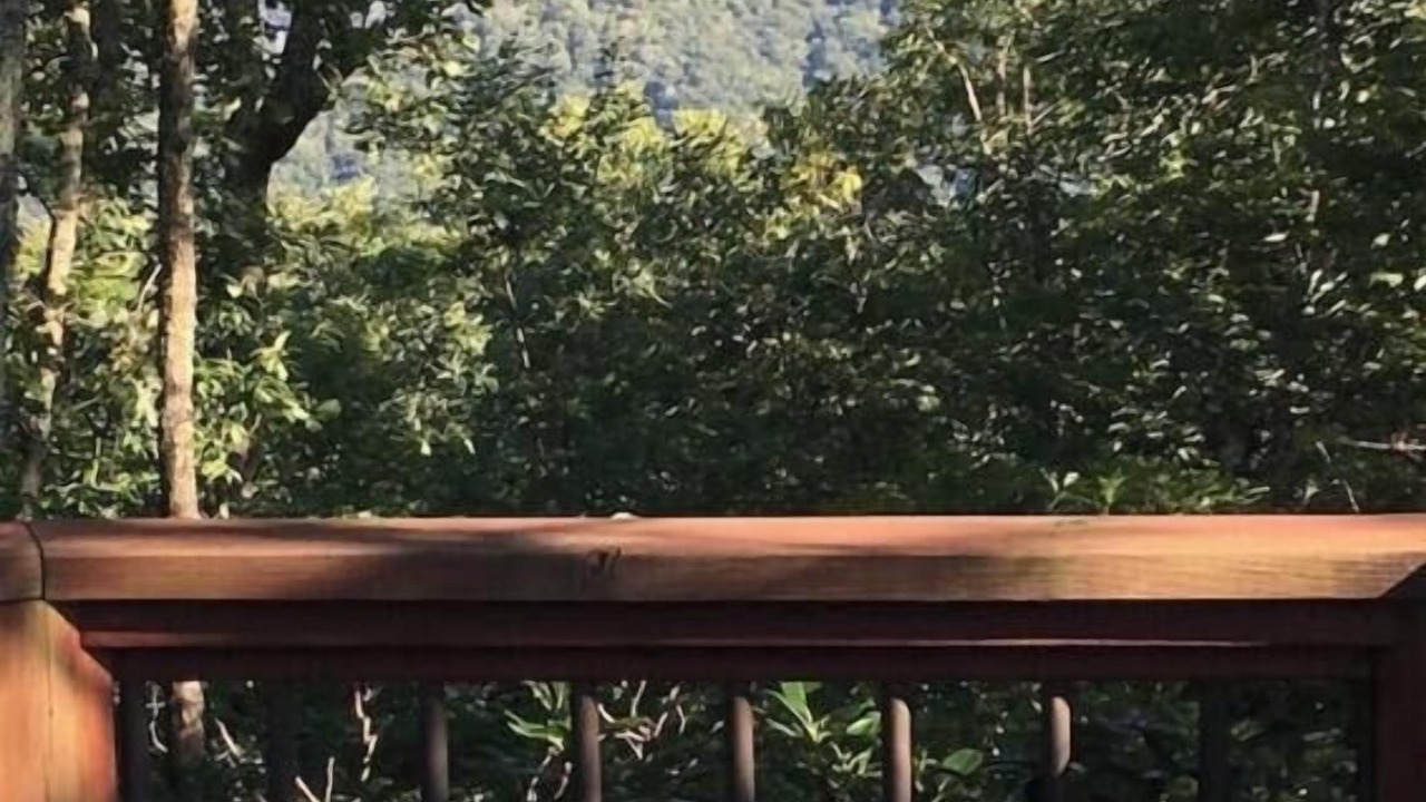 Photo of Others in Sheepback Mountain Estates
