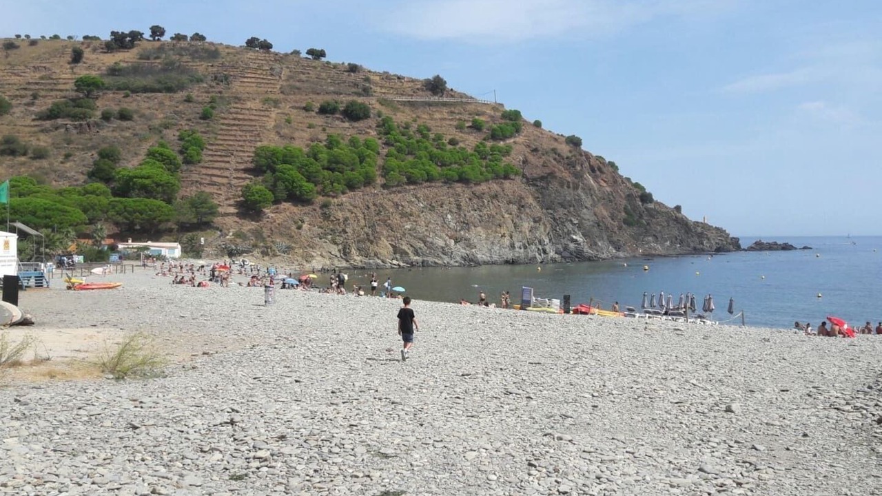 Photo of Others in Cerbere