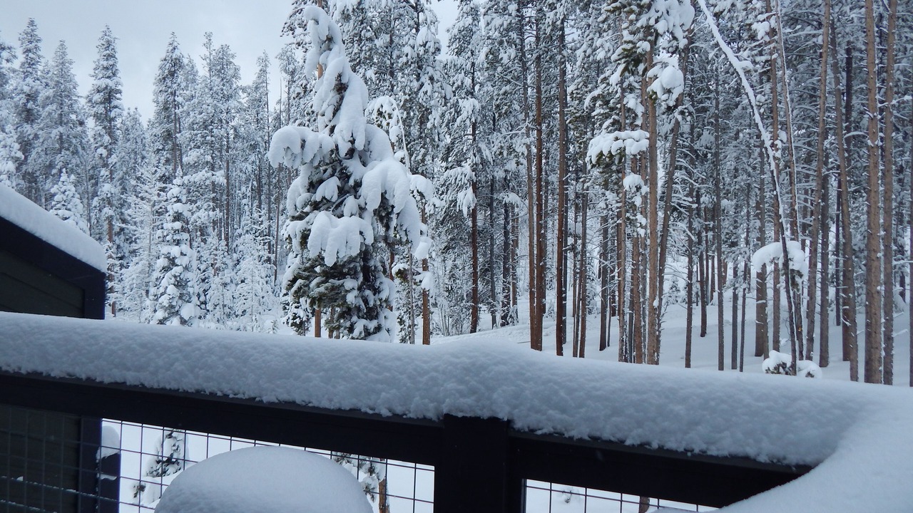 Photo of Others in Winter Park