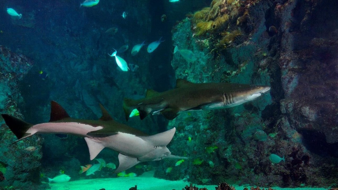 Photo of Others in Rive Droite