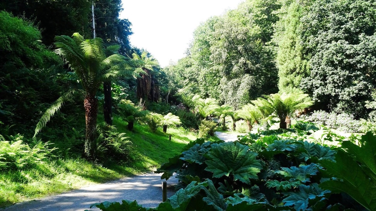 Photo of Outdoor in Rive Droite