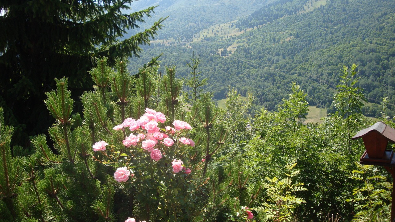 Photo of Outdoor in Meribel Village