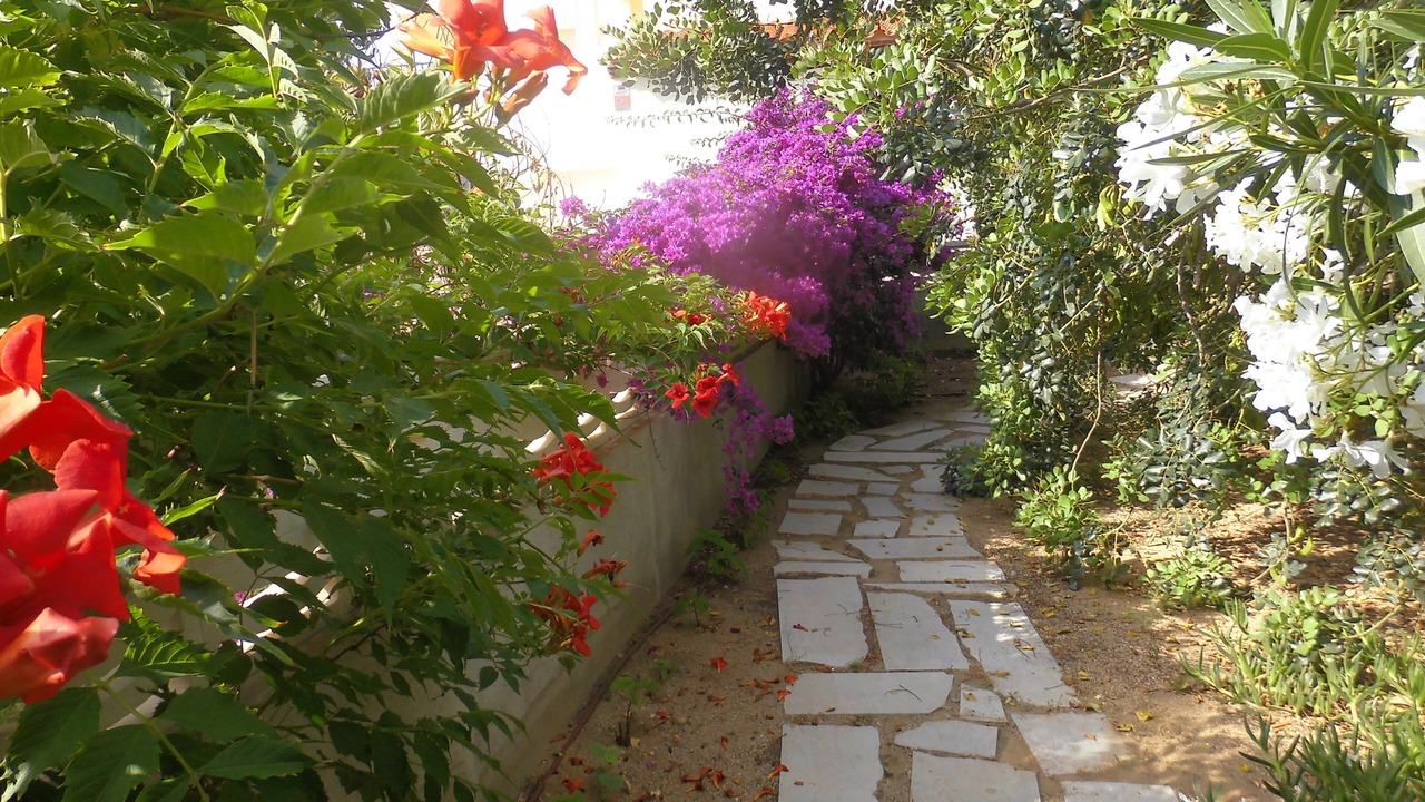 Photo of Outdoor in Les Planes del Rei