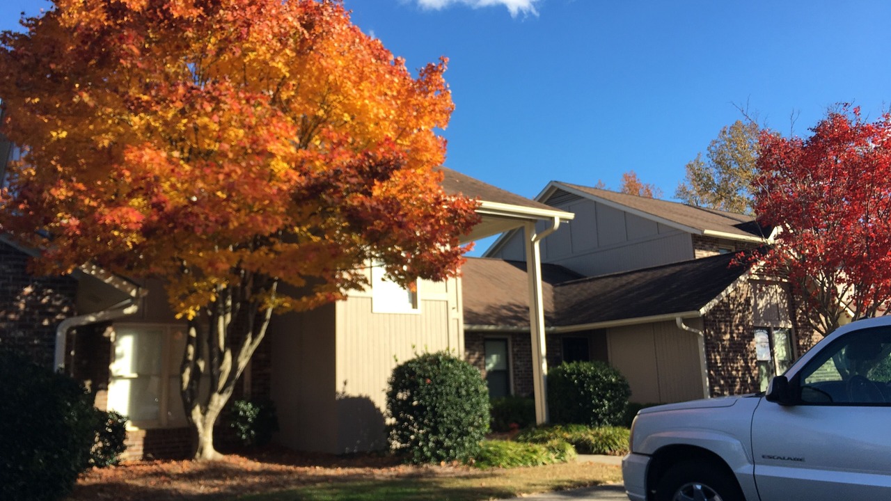 Photo of Outdoor in Greenville