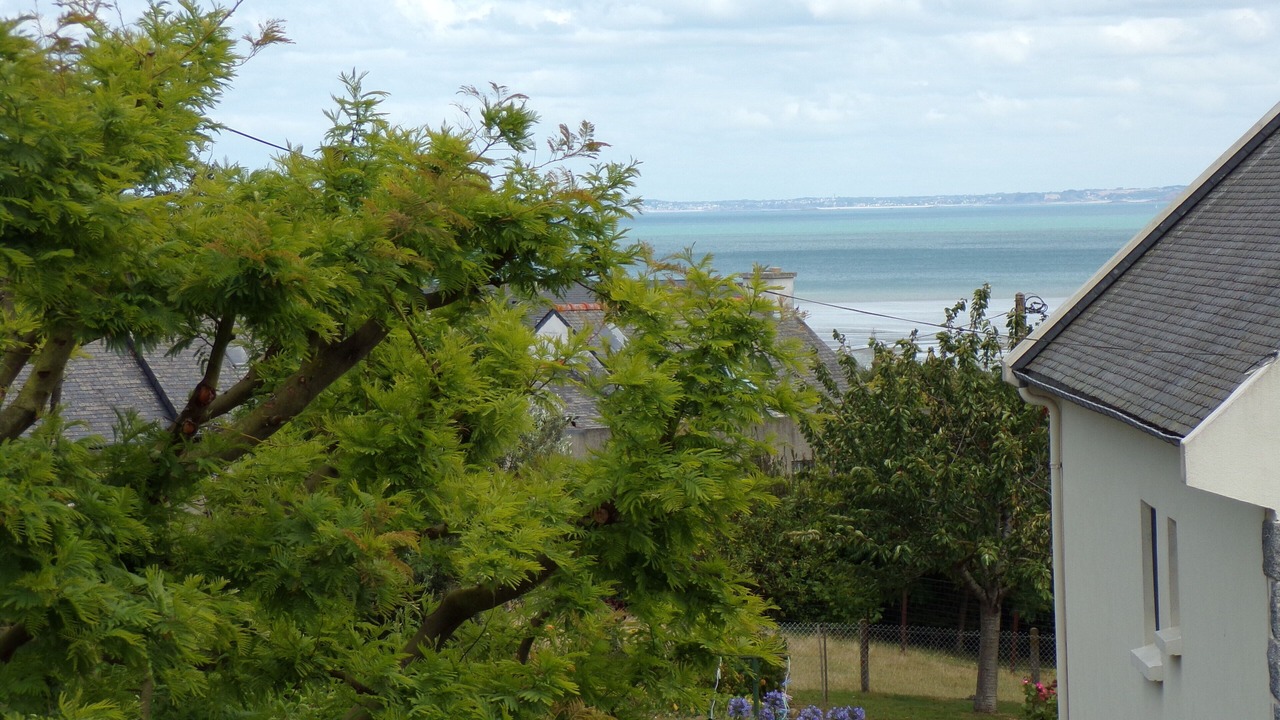 Photo of Outdoor in Binic