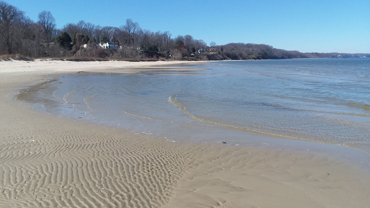 Photo of Others in Calvert Beach-Long Beach