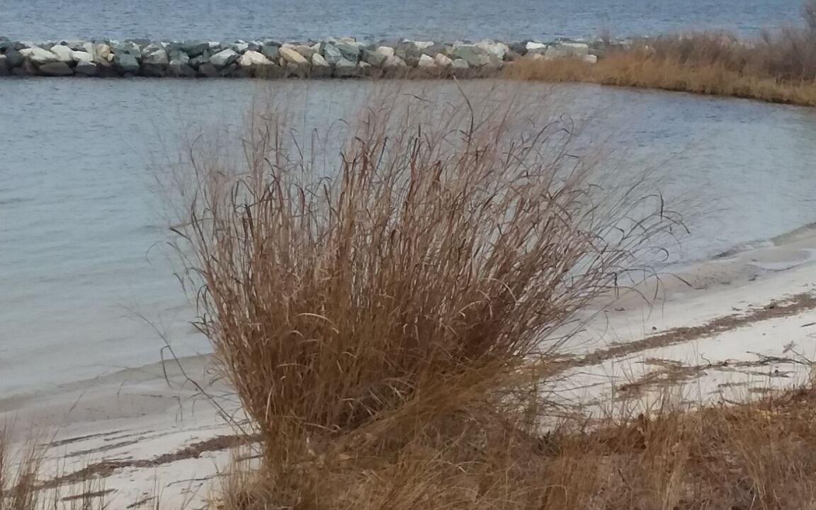 Photo of Others in Calvert Beach-Long Beach