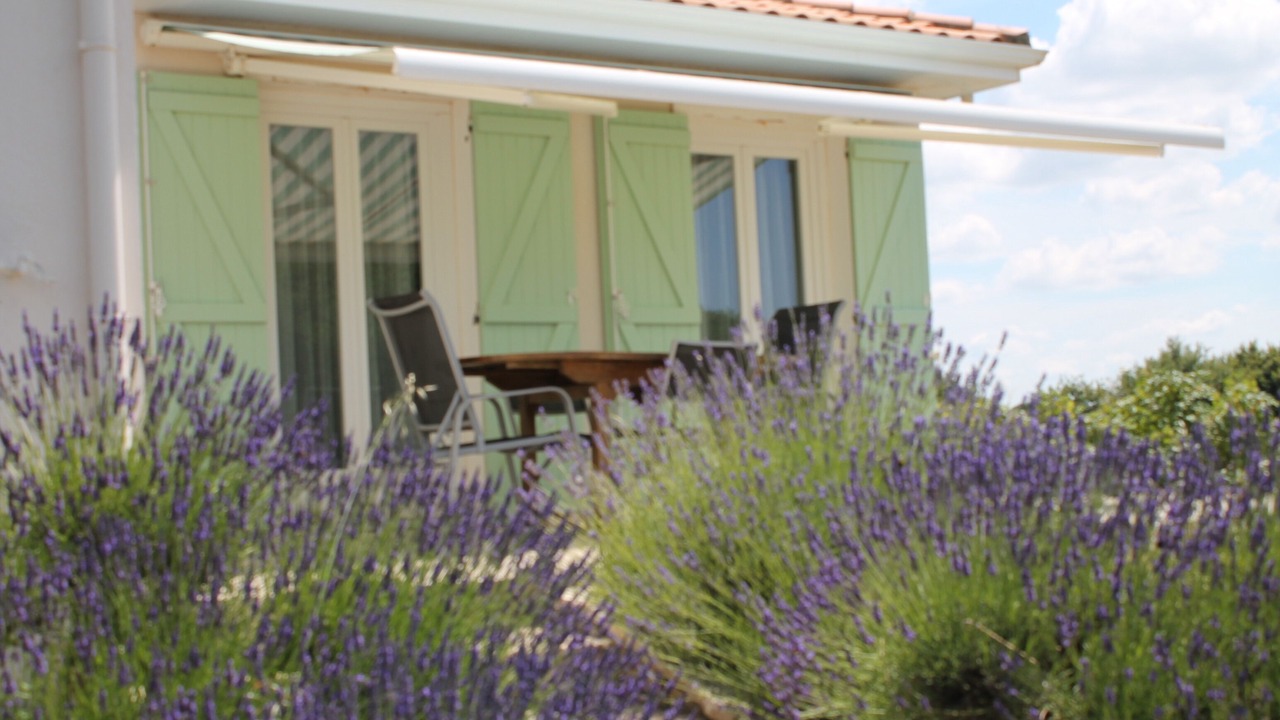 Photo of Outdoor in Vaire