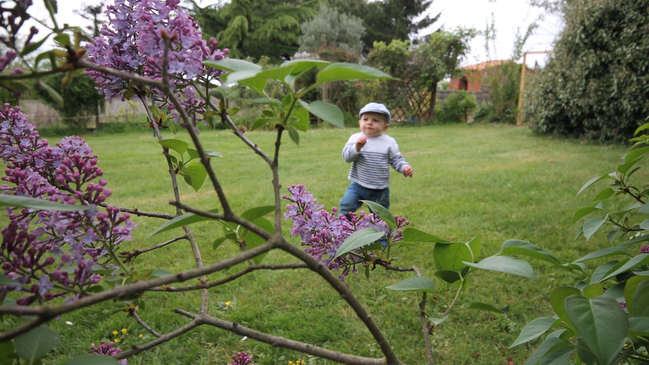 Photo of Outdoor in Vaire