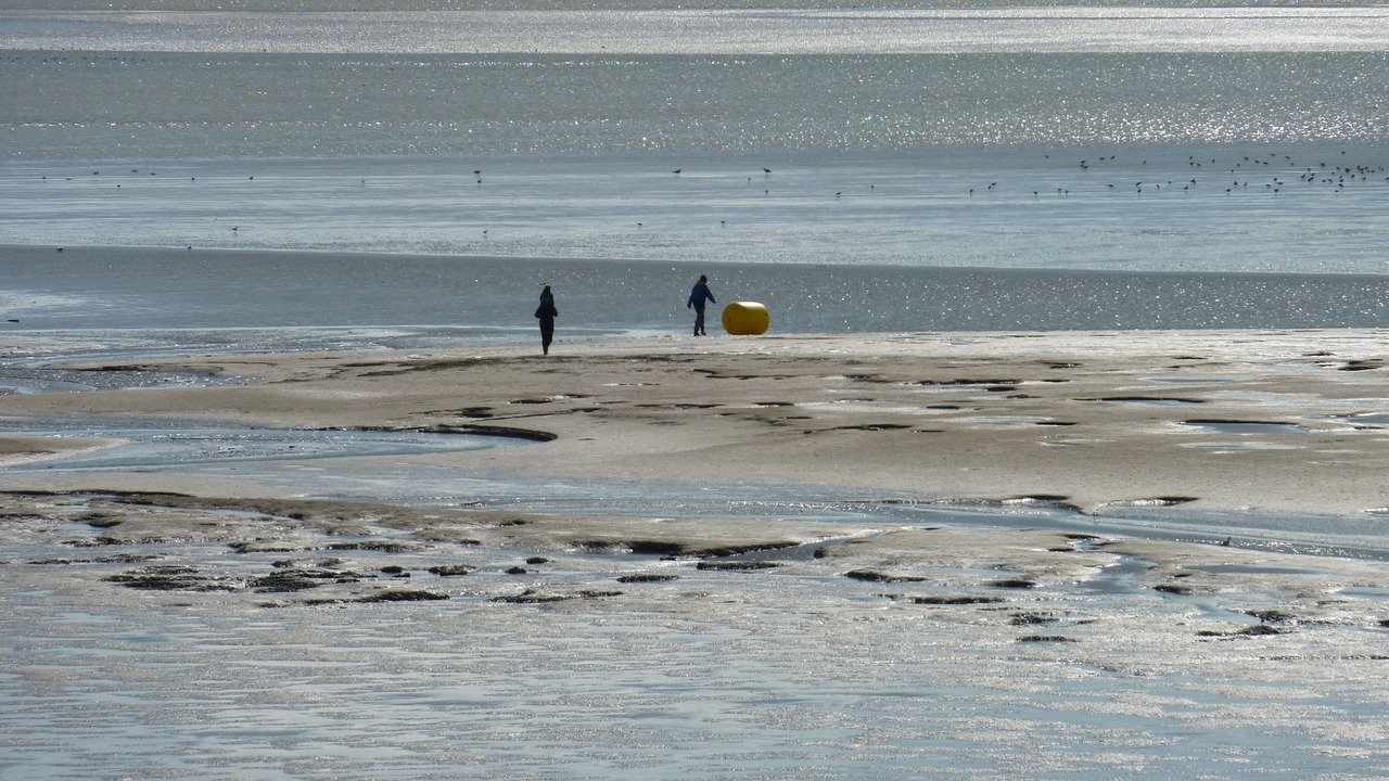 Photo of Others in Le Crotoy