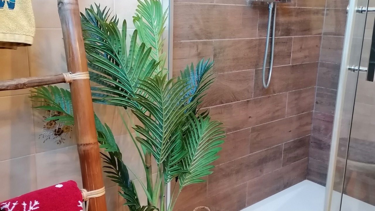 Photo of Bathroom in Luz-Saint-Sauveur