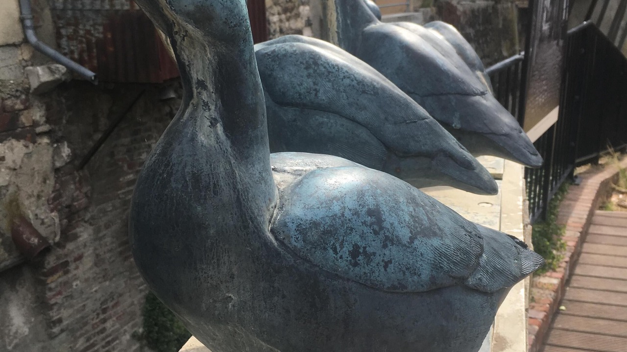 Photo of Outdoor in Honfleur