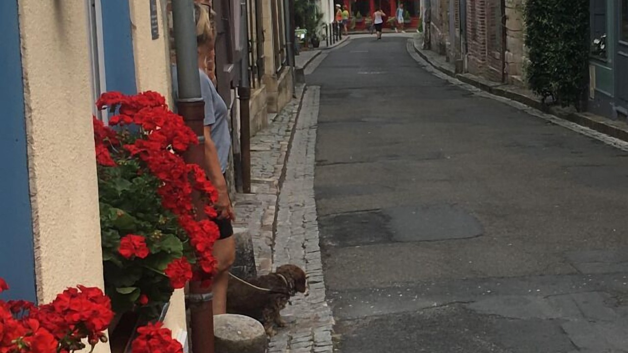 Photo of Outdoor in Honfleur
