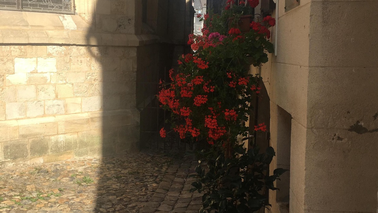 Photo of Outdoor in Honfleur