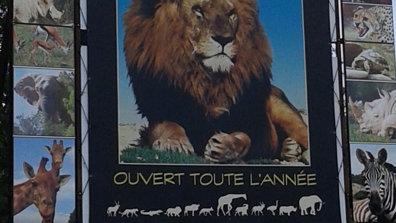 Photo of Others in Durban-Corbieres