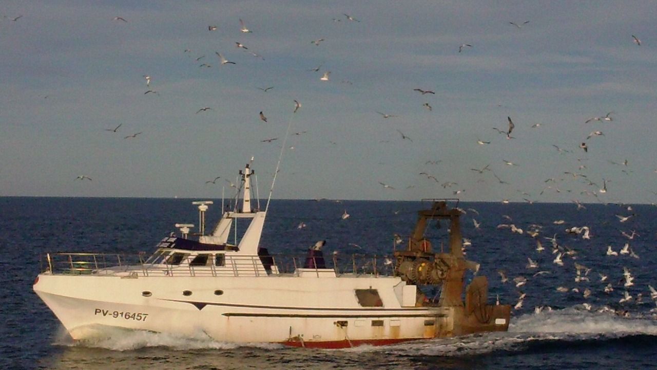 Photo of Others in Port-la-Nouvelle