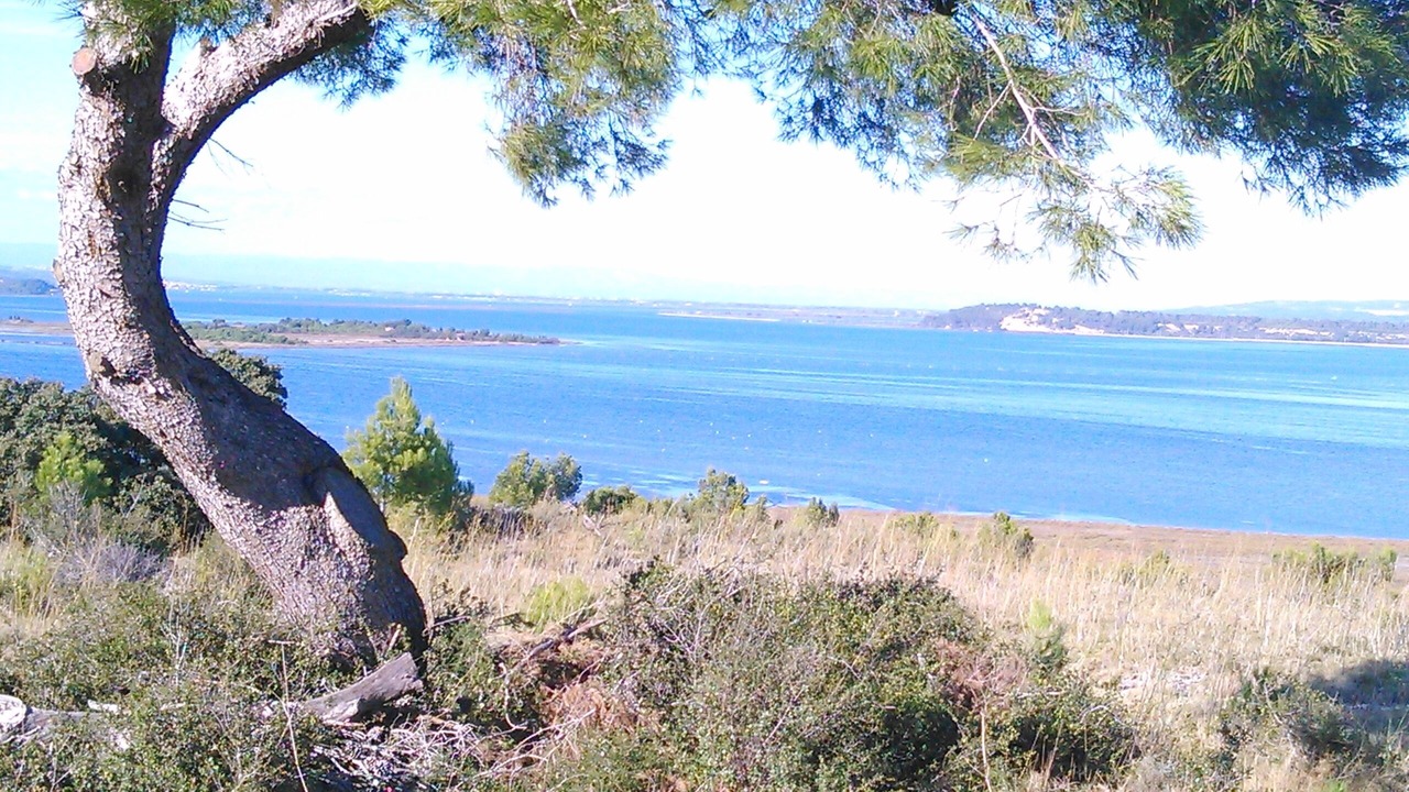 Photo of Others in Port-la-Nouvelle