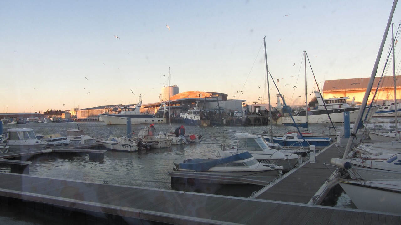Photo of Others in Port-la-Nouvelle