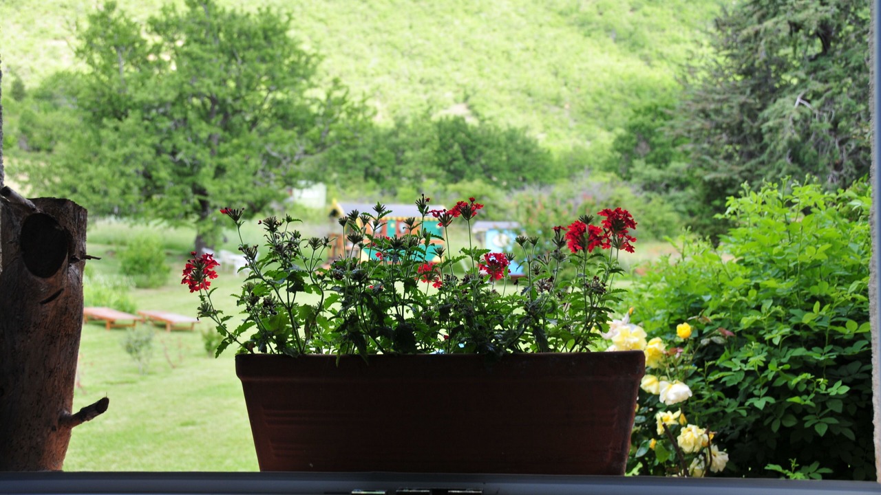 Photo of Outdoor in Banon