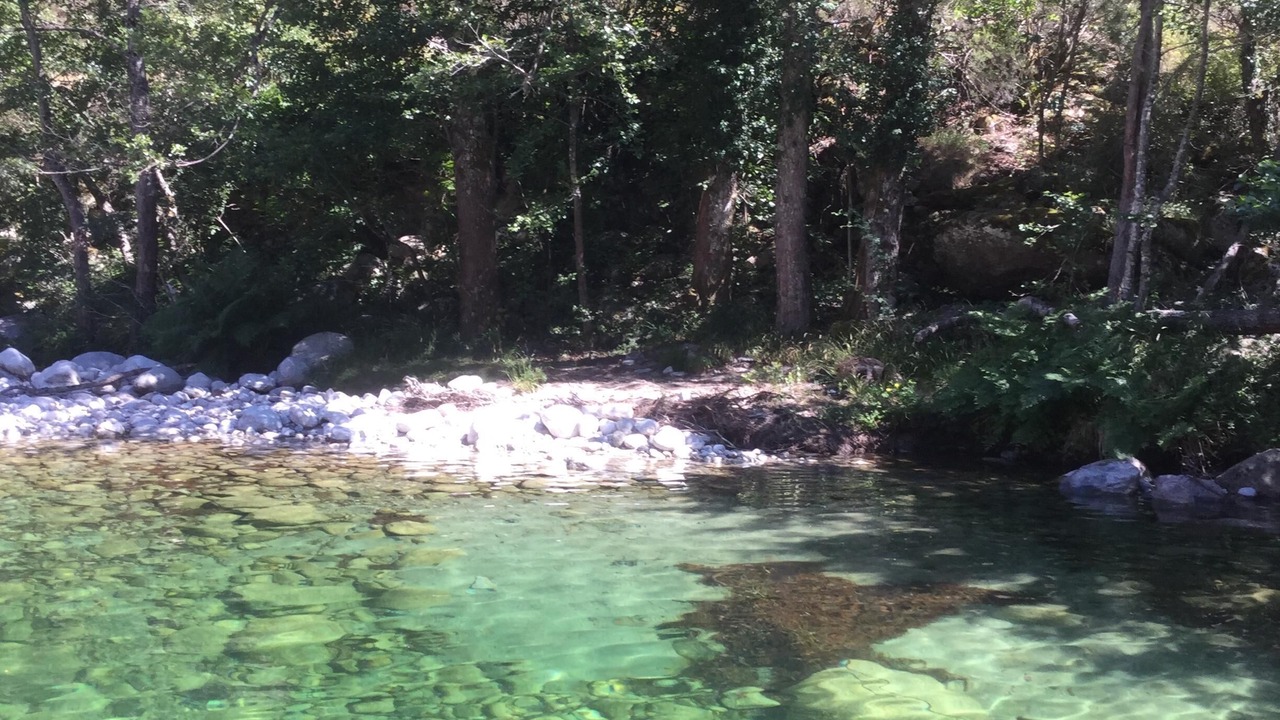 Photo of Others in Castello-di-Rostino