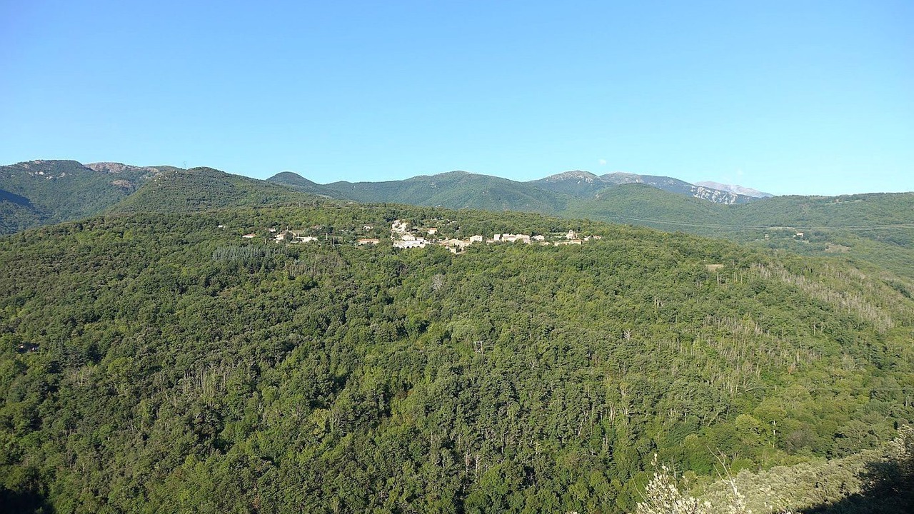 Photo of Others in Taulis